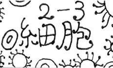 企画イラスト